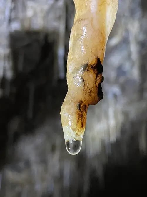 Spéléologie , stalactites dans une grotte